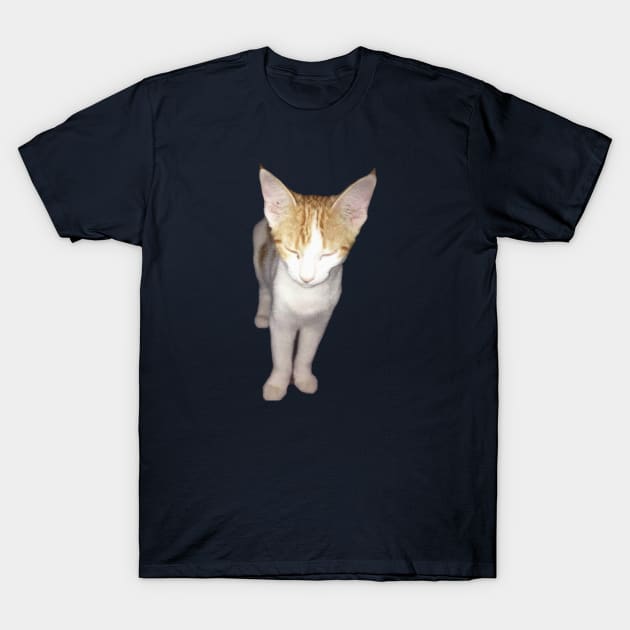 Kitty Zen Mode T-Shirt by The6ix